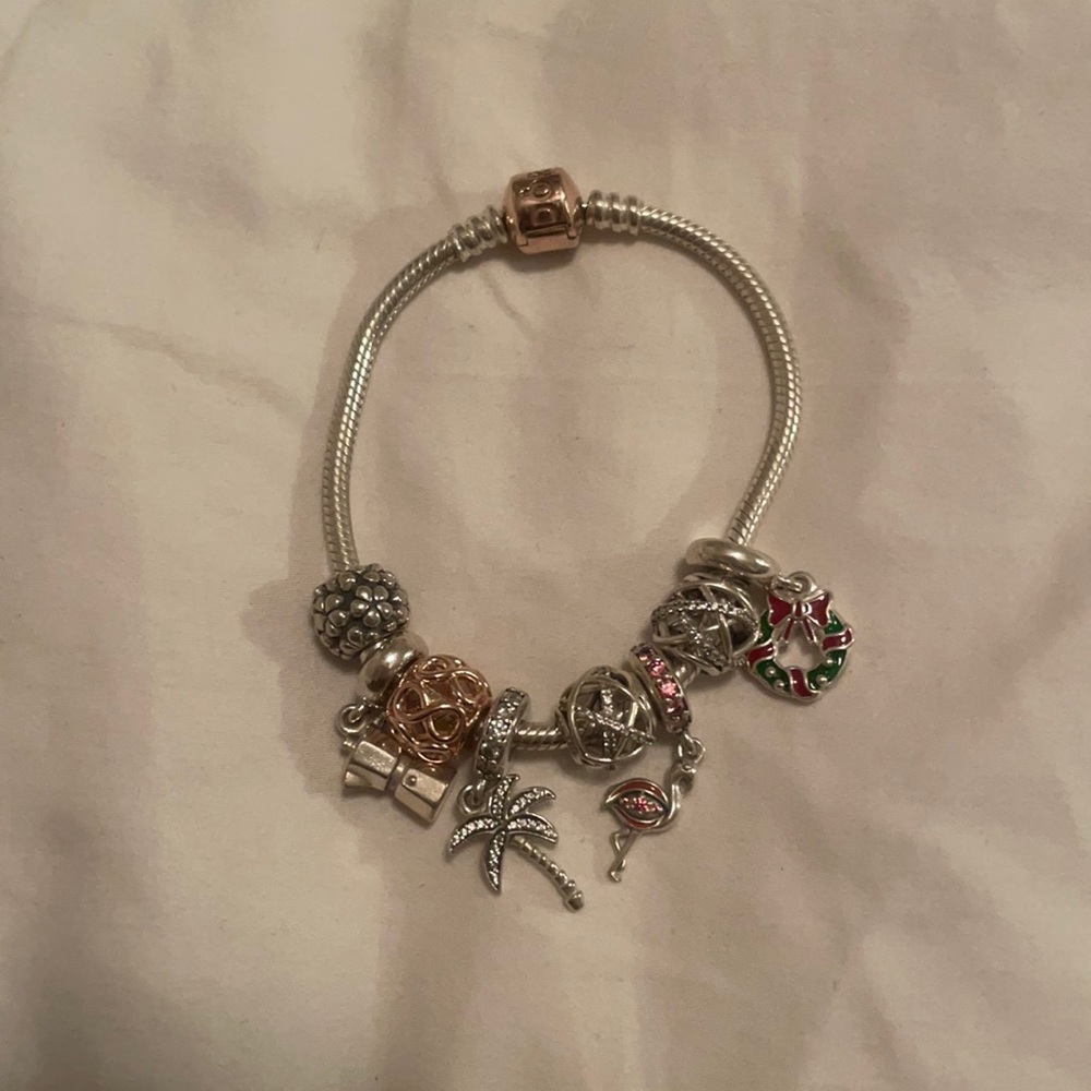 Pandora charm bracelet
